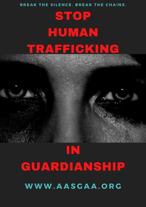 Human Trafficking Guardianship 3